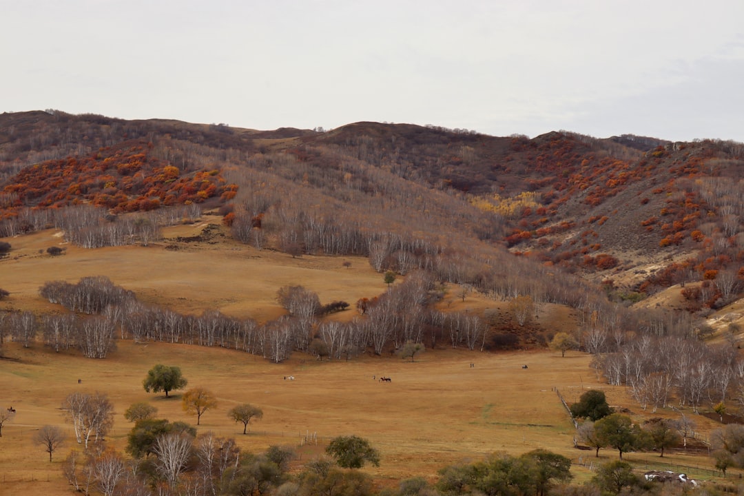 The Art of Budget-Friendly Outdoor Adventures